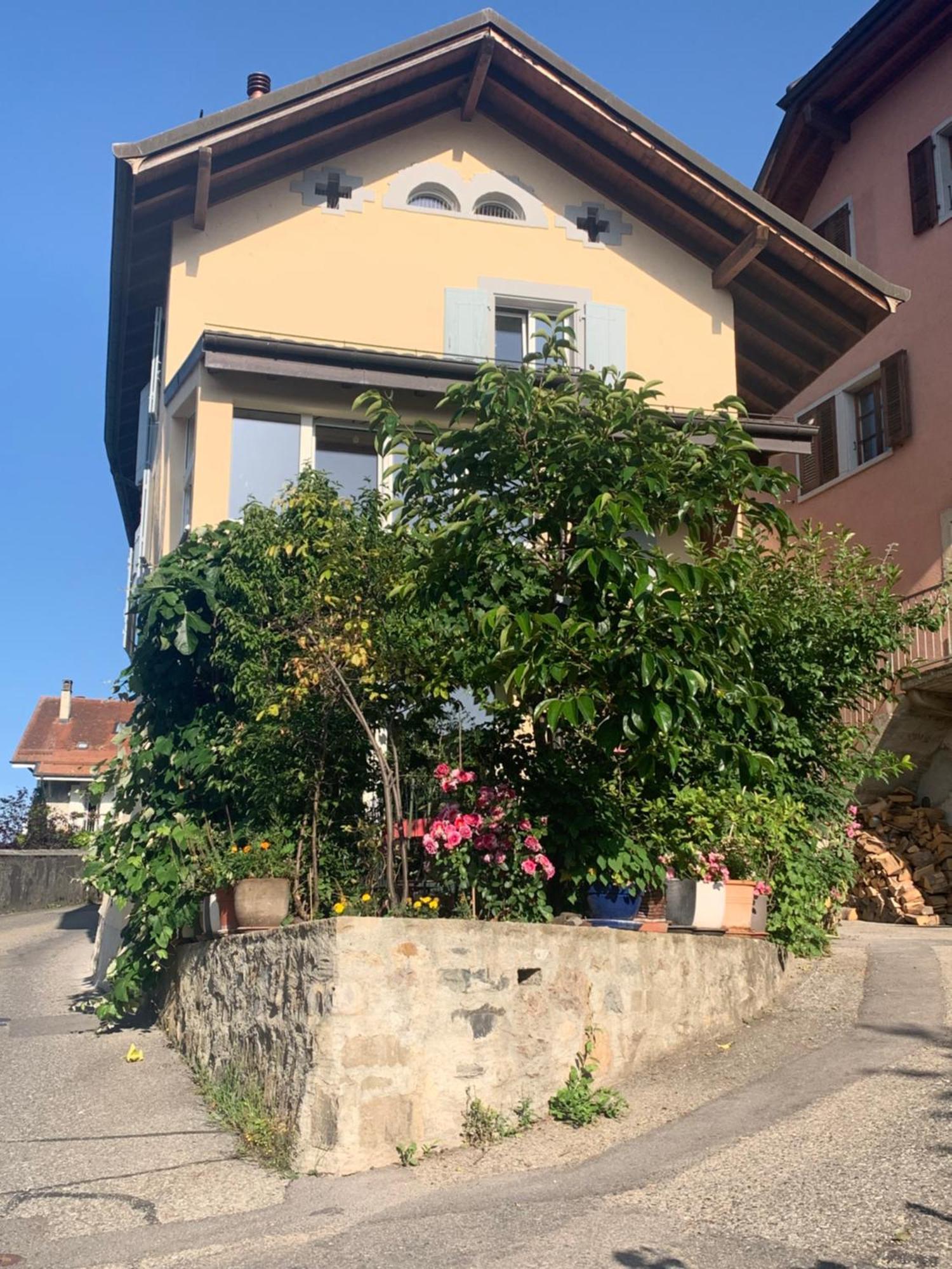 Tournicolette - 52 M2 Charme Fou Apartment Chardonne Luaran gambar